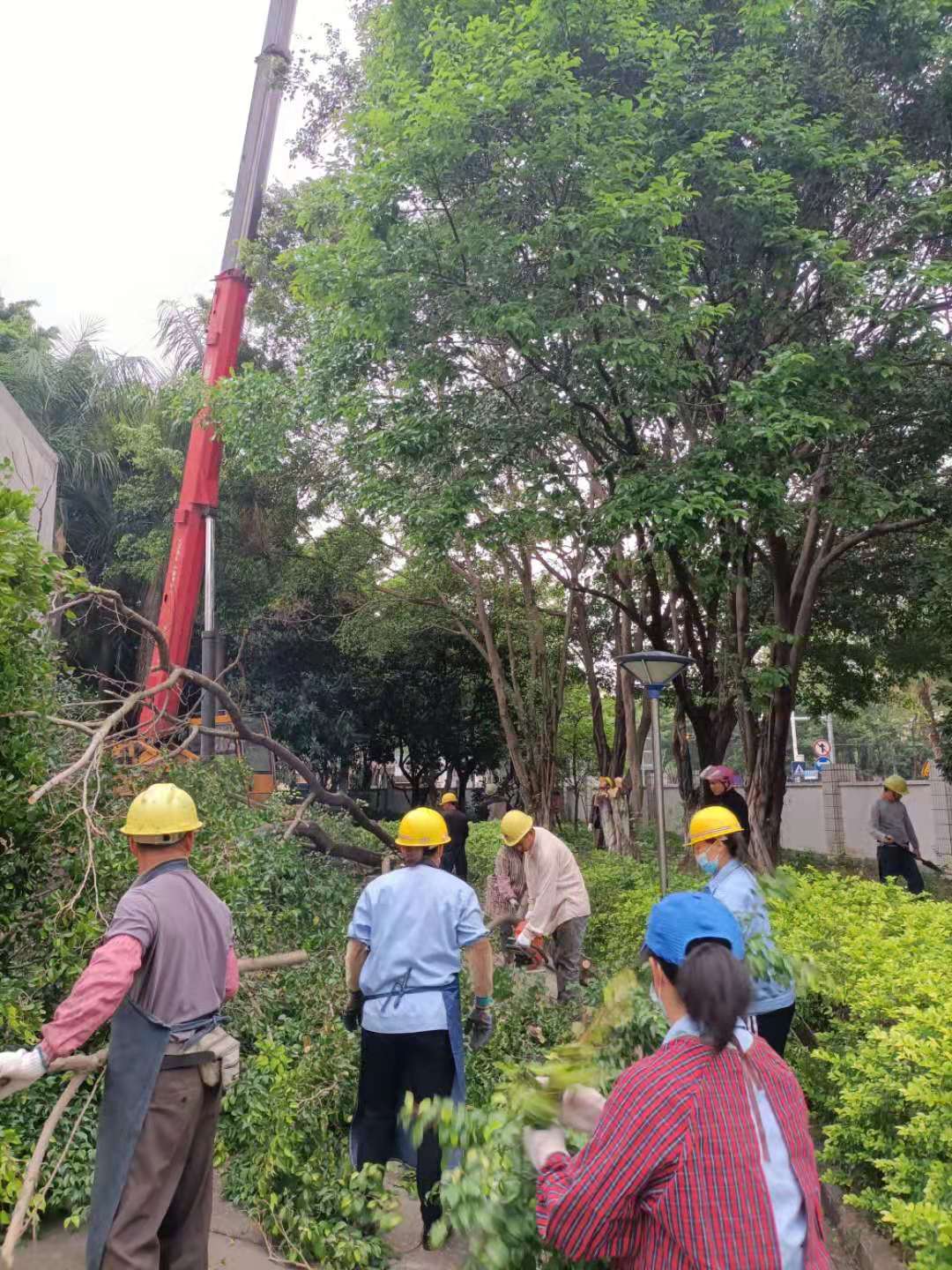 佛山園林綠化工程促進居民交流